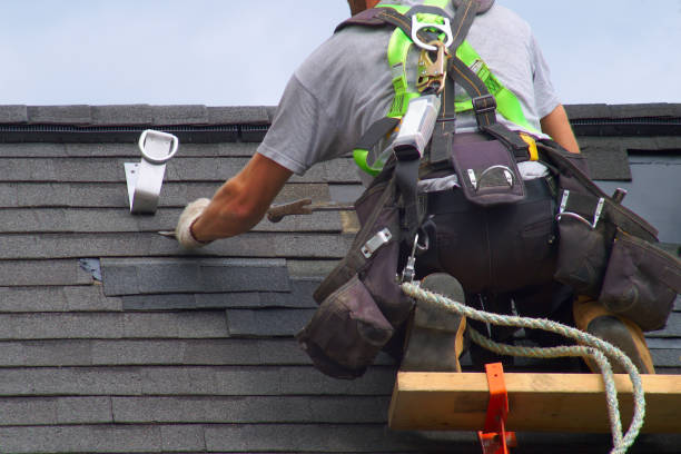 Best Commercial Roofing Services  in Trinity, FL