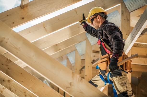 Best Gutter Installation and Roofing  in Trinity, FL
