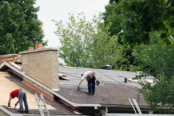 Roof Gutter Cleaning in Trinity, FL