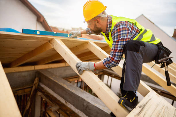 Best Affordable Roofing Company  in Trinity, FL