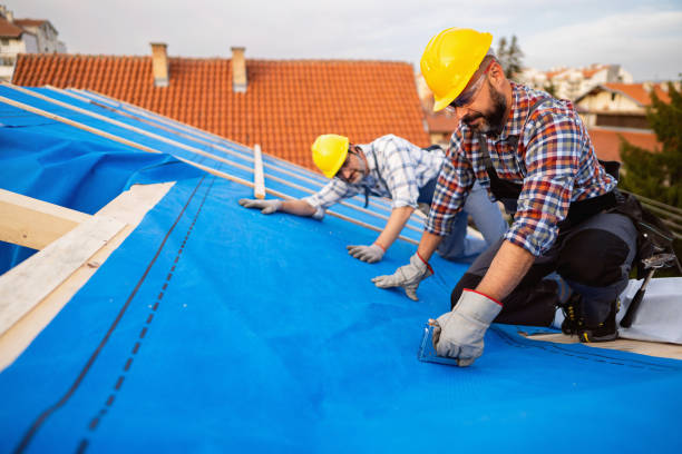 Best Tile Roofing Contractor  in Trinity, FL