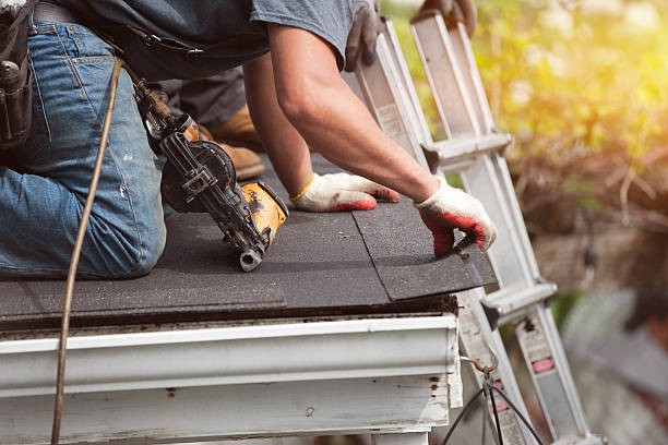Best Gutter Installation and Roofing  in Trinity, FL