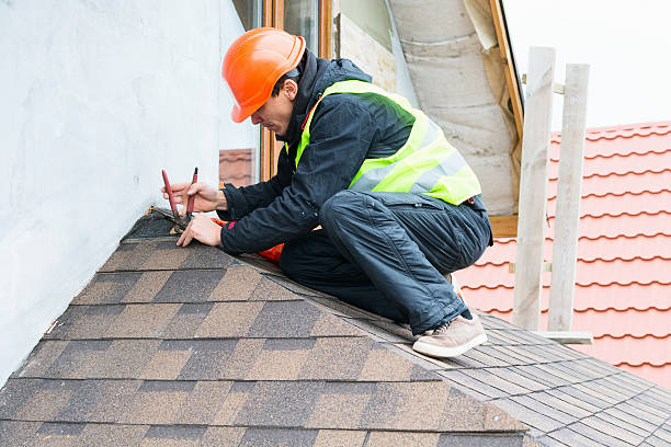 Best Roof Maintenance Services  in Trinity, FL