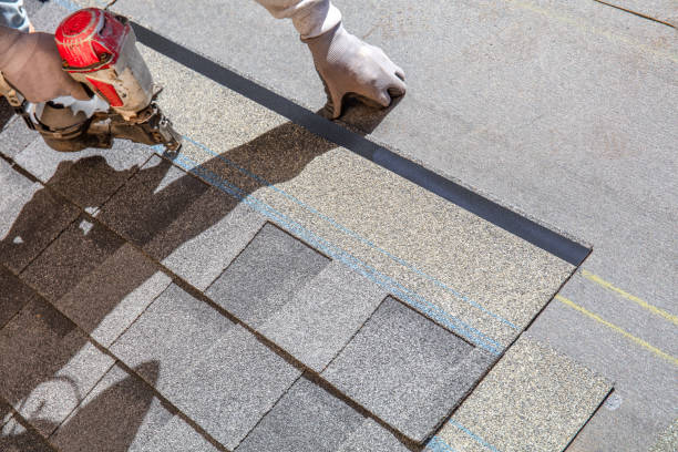 Best Residential Roofing Contractor  in Trinity, FL