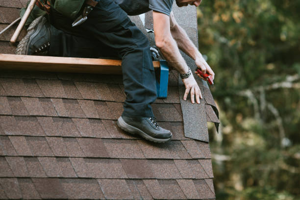 Best Residential Roof Replacement  in Trinity, FL